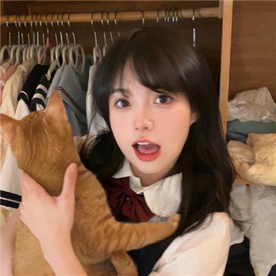 玫瑰人生国语